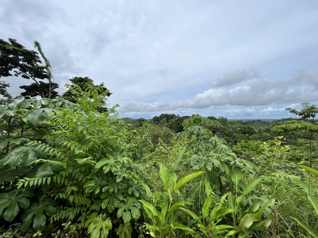 RE/MAX real estate, Costa Rica, Parrita, Costa Rica Farmland with Ocean Views – Perfect for Off-Grid Living & Eco Retreat